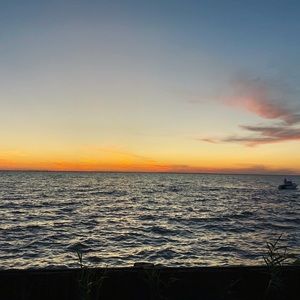 Meet your Posher, Logan